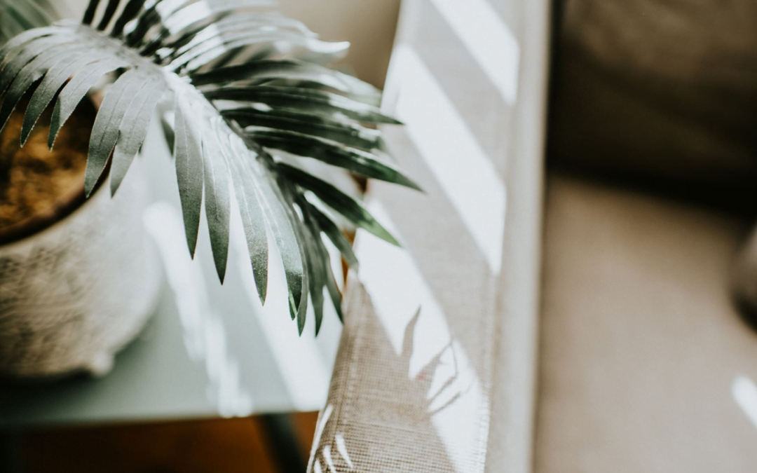 Los Beneficios de la Iluminación Natural en tu Vivienda