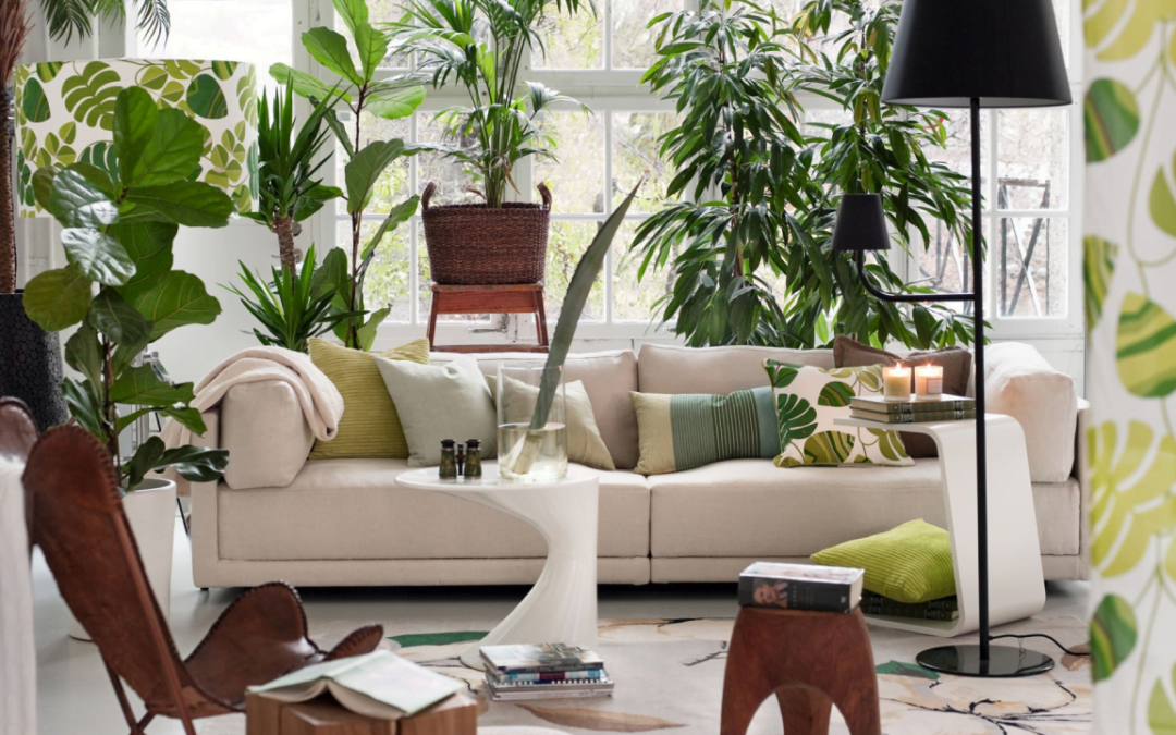 Reformas Eco-Friendly: Transformando tu Hogar con Estilo y Conciencia Ambiental